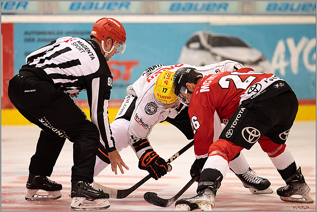PENNY DEL 1. Testspiel Koelner Haie - Loewen Frankfurt; Koeln, 27.08.2023
